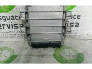 Блок управления NNN100743, 0090047 Rover 25