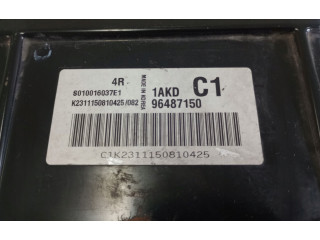 Řídící jednotka 96487150, 96487150 Daewoo Tacuma 2004