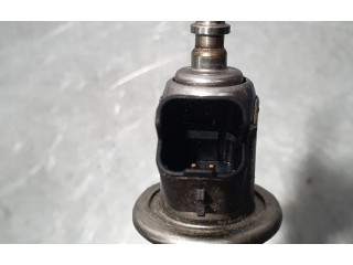 Форсунка 9813930180    Peugeot 5008 II  YH01 