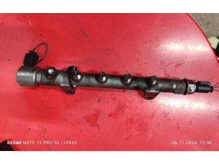 Vstřikovací lišta A6510700595, R9144Z230A Mercedes-Benz C W204