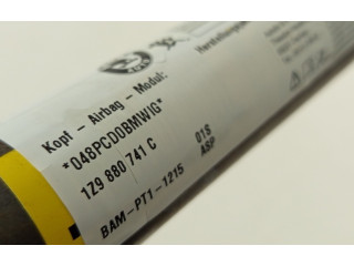 Боковая подушка безопасности 1Z9880741C   Skoda Octavia Mk2 (1Z)