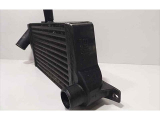 Интеркулер 254714609919, 82097 Tata Telcoline