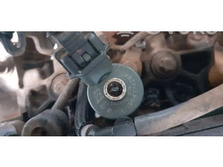 Форсунка 0445110076    Peugeot Expert  RHZ 