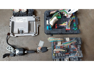 Řídící jednotka 9666319580, 9667123380 Citroen C4 Grand Picasso 2010