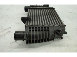 Интеркулер  880590XC   Renault Clio III 