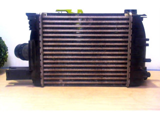 Интеркулер Dacia Dokker