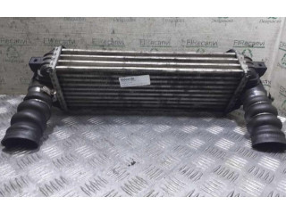 Интеркулер Ford Transit - Tourneo Connect