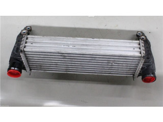 Интеркулер  7T169L440AD   Ford Transit -  Tourneo Connect 