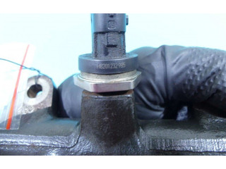 Vstřikovací lišta 175215346R, IMPRK1349718   Renault Clio IV     