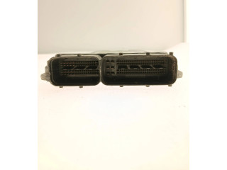 Řídící jednotka 55566277, 1039S23691 Opel Vectra C 2008