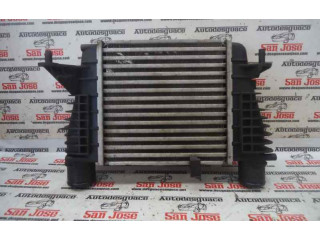 Интеркулер     Renault Clio III 