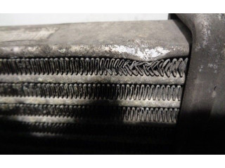 Интеркулер  8200424155   Dacia Logan Pick-Up 