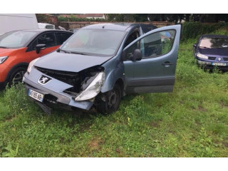 Řídící jednotka 194329, 194329 Peugeot Partner 2009