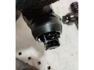 Комплект форсунок 038130073BN, 038130073BL Skoda Octavia Mk2 (1Z) BLS