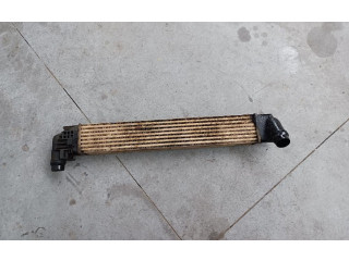 Интеркулер     Dacia Duster 