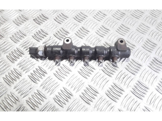 Топливная рампа 00001570G2, 00001570G2   Citroen C3  