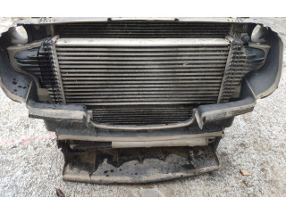 Интеркулер     Mercedes-Benz R W251 