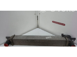 Интеркулер 51790623 Peugeot Bipper