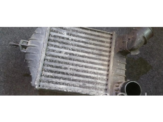 Интеркулер     Fiat Punto (188) 1.9