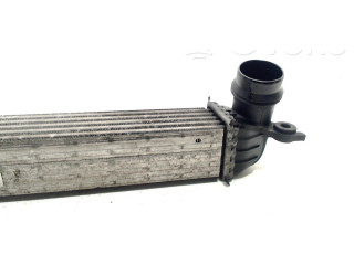 Интеркулер 1751850690401 Mini Paceman (R61)