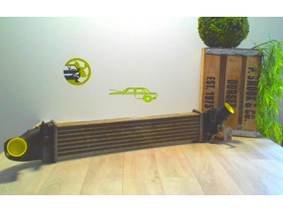 Интеркулер 6001548727, 6001548727 Dacia Logan I