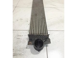 Интеркулер  E1G36K775JA   Ford S-MAX 