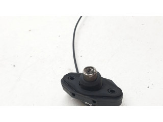 Zámek zadních dveří 51247194181, 10862510 BMW 7 F01 F02 F03 F04 2009