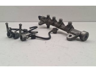 Топливная рампа 55234039, 324089 Fiat Freemont для двигателя 939B5000