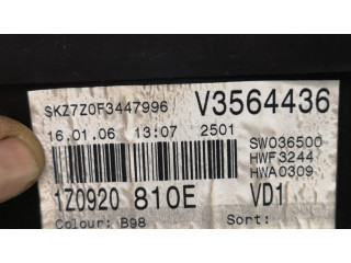 Панель приборов 1Z0920810E, A2C53106514 Skoda Octavia Mk2 (1Z)