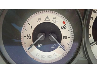 Панель приборов A2189007302, 2189007302   Mercedes-Benz CLS AMG C219       