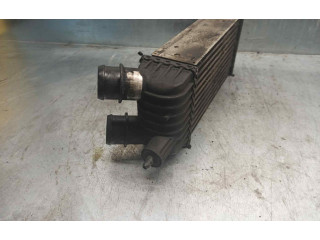 Интеркулер 1498987080, 384K4 Fiat Scudo