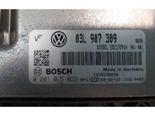 Řídící jednotka 03L907309, 0281015029 Volkswagen Passat Alltrack 2009