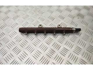 Комплект системы впрыска топлива 5WS40694, Bk2q9k546ag Ford Transit Custom cvff