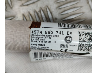 Подушка безопасности водителя 61305245D Skoda Fabia Mk1 (6Y)