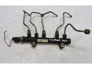 Топливная рампа 9685297580, 140162328   Citroen C4 II Picasso  