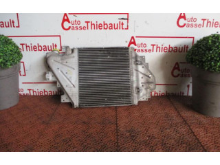 Интеркулер  8200685747, 8200685747   Renault Clio II 