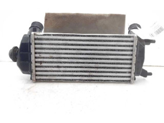 Интеркулер H1BG6K775AC Ford Ecosport