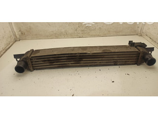 Интеркулер     Citroen Nemo 