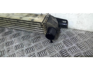 Интеркулер  00000384L7   Citroen Nemo 