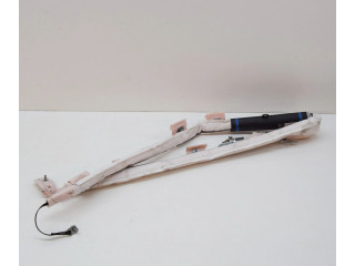 Боковая подушка безопасности 2459419D, 100526100D Tesla Model S