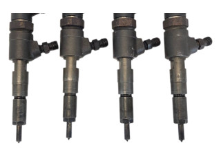 Форсунка 0445110252 Citroen Nemo