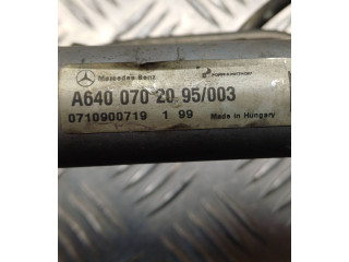 Vstřikovací lišta A6400702095, A6110780449 Mercedes-Benz A W169