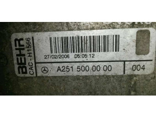 Интеркулер  A2515000000   Mercedes-Benz R W251 