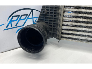 Интеркулер  1K0145803T, N6898002   Volkswagen Touran I 