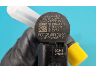 Форсунка 28424049, IMPRK1452468 Skoda Fabia Mk3 (NJ) Cus