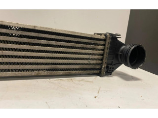 Радиатор интеркулера B1025 Mercedes-Benz A W169