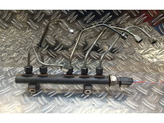 Топливная рампа 9685297580, 28497Z01 Citroen C4 II Picasso