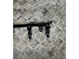 Топливная рампа H025241502   Renault Scenic III -  Grand scenic III   для двигателя M4R713