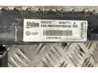 Топливная рампа 1K0121251CL, 1K0121251CL Skoda Yeti (5L)