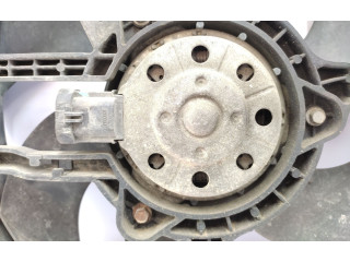 Вентилятор радиатора     9653804080, 1253P8    Citroen C2 